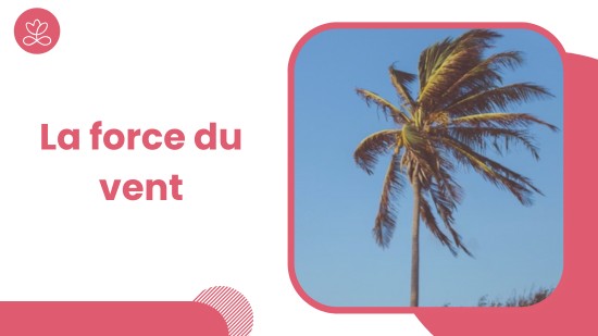 Semaine 33 : La force du vent (21 minutes)